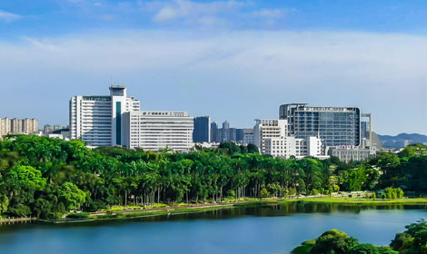 广西医科大学第一附属医院